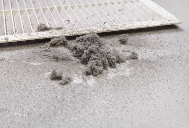 Best Ventilation Cleaning Services  in Badger, AK